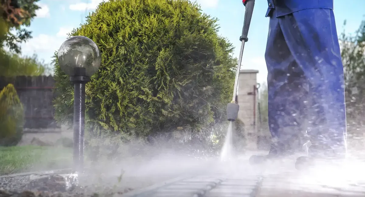 4 - Professional Cleaning Service in The Woodlands, TX by MAGIC SPOTLESS CLEANING SERVICE